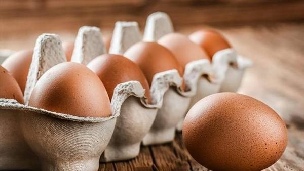 سبب انخفاض أسعار البيض 